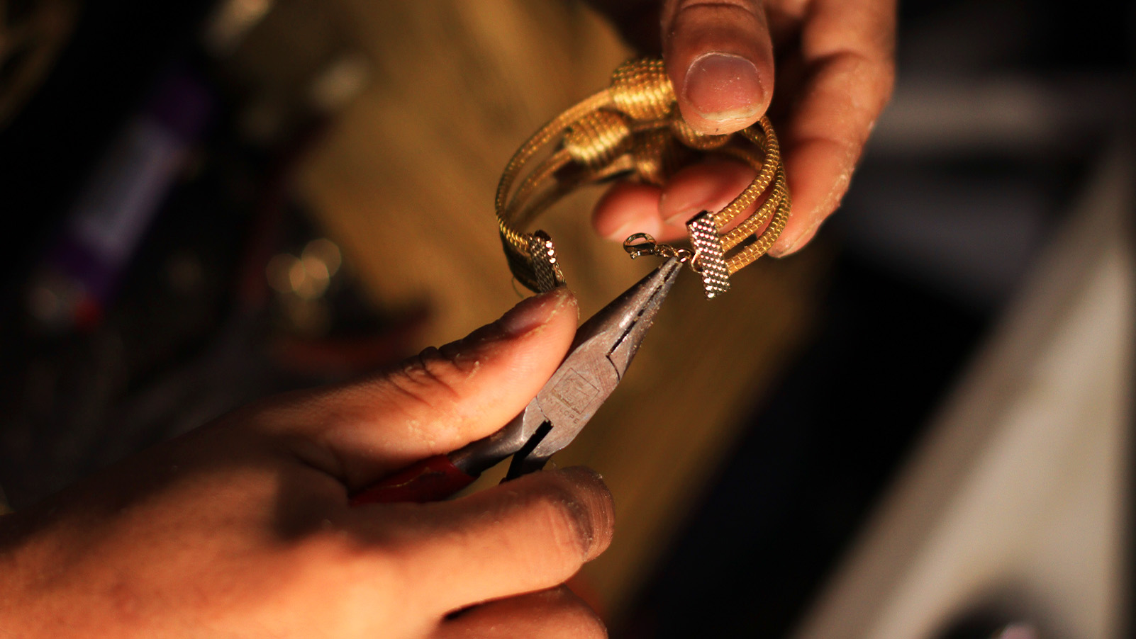 She is From the Jungle