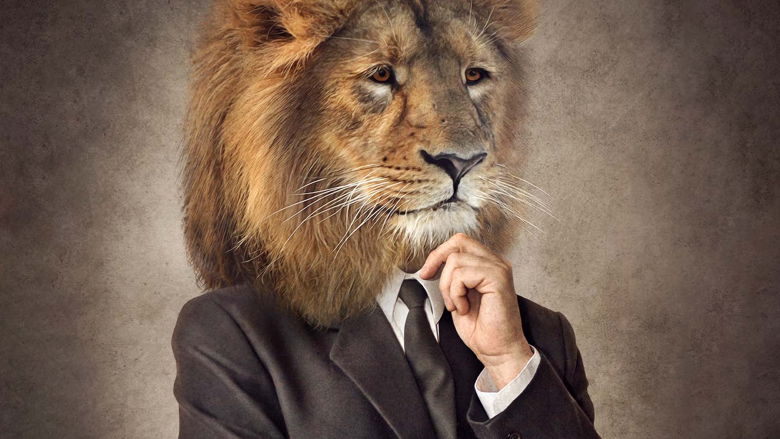 Receita Federal divulga as regras do Imposto de Renda 2025