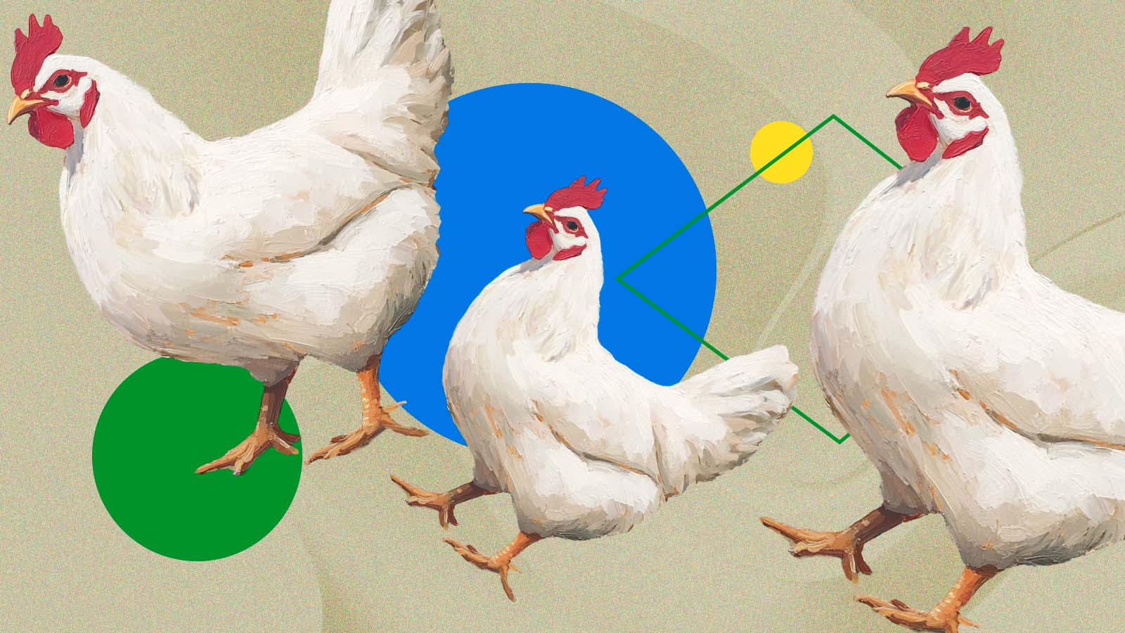 gripe aviária é ameaça para quem investe em fiagro, fundo do agronegócio?