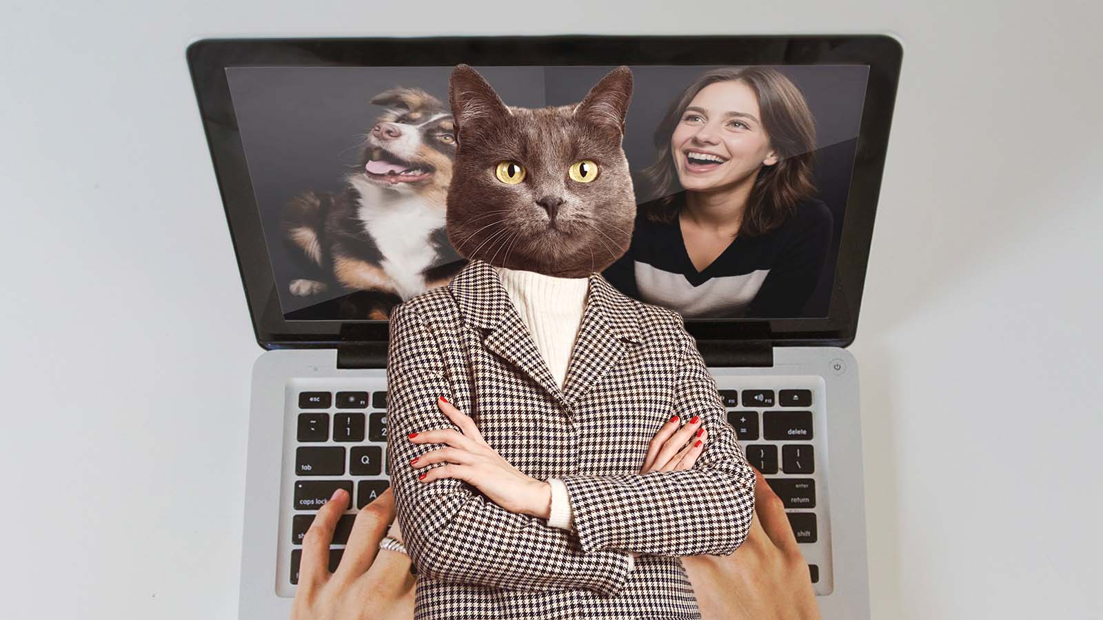 ser humano com cabeça de gato