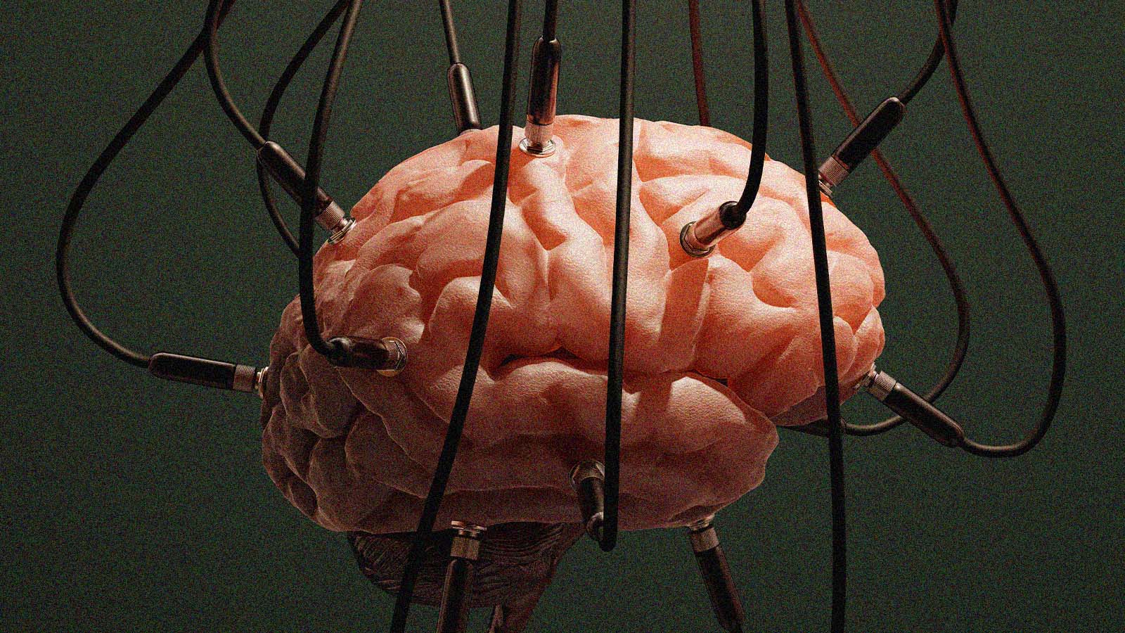 cérebro humano conectado a vários cabos de comunicação