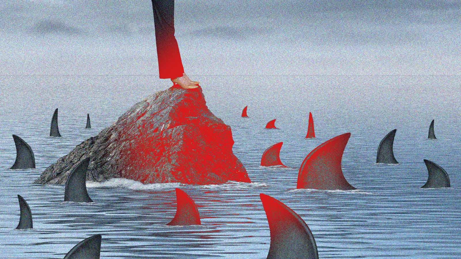 conflito: pessoa em uma rocha no mar cercada de tubarões