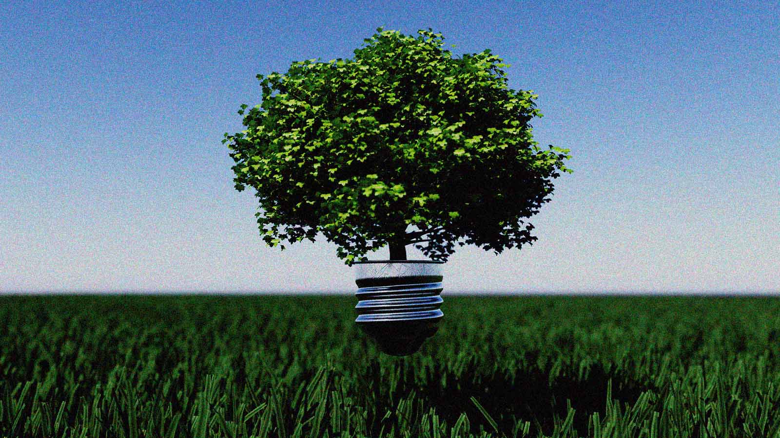 Como investir nos ativos verdes