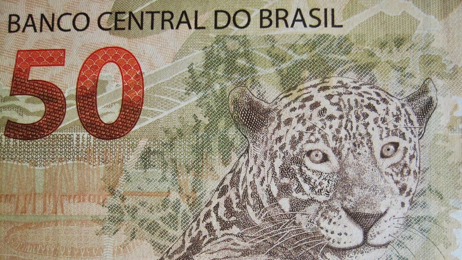 Nota de cinquenta reais