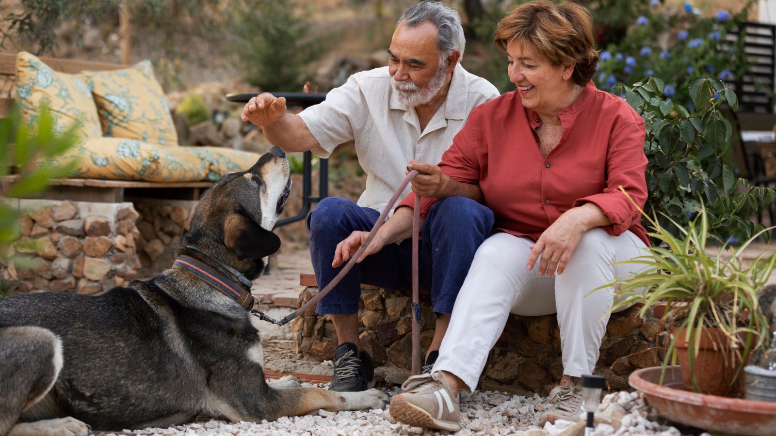 pílula longevidade animal